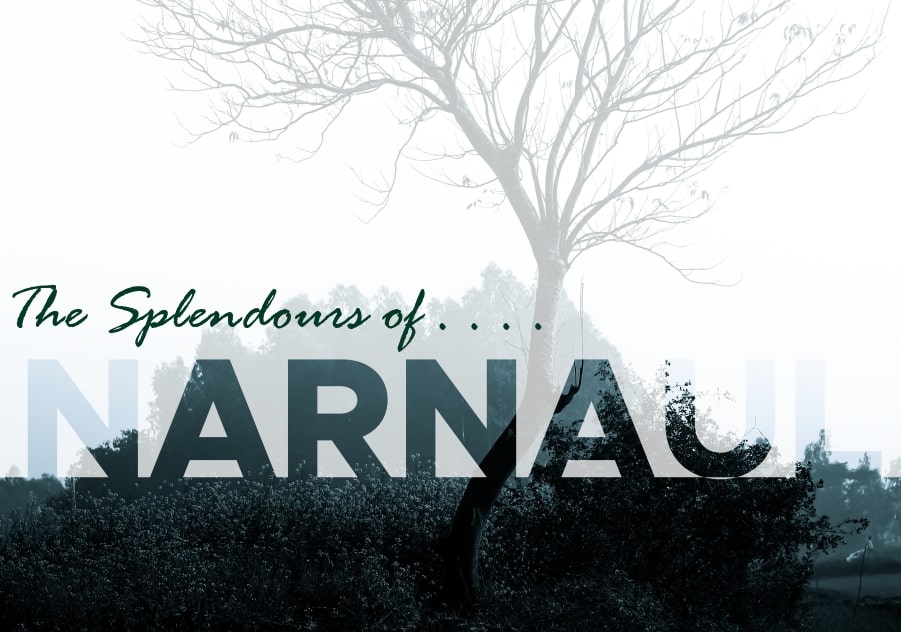 Splendours of Narnal 1