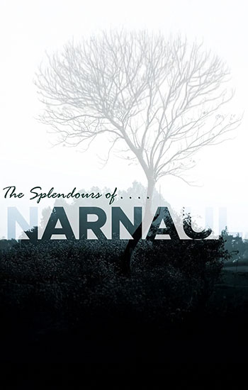 The Splendours of Narnaul