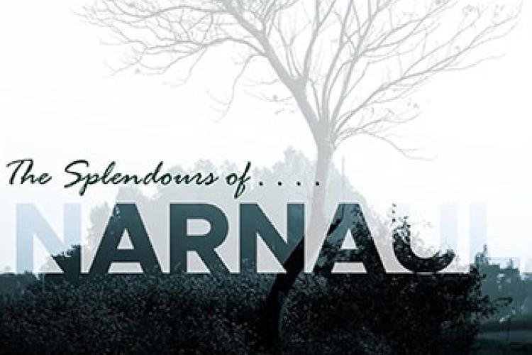 The Splendours of Narnaul